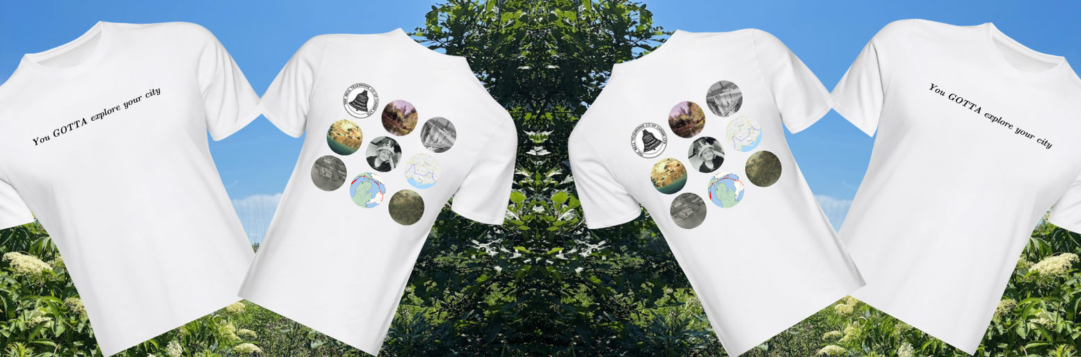 Merch Store (placeholder image)